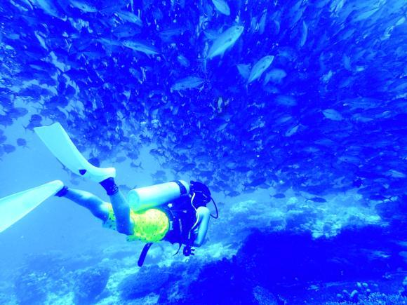 汽车钥匙 遥控锁突然失灵了 怎么回事呢？主要车子当天晚上没电了游戏画面