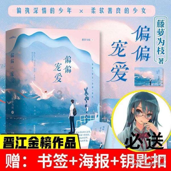 疯狂的小偷