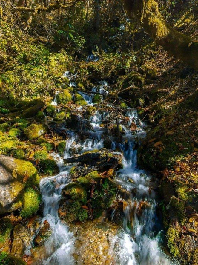 逃离阴森的岛屿